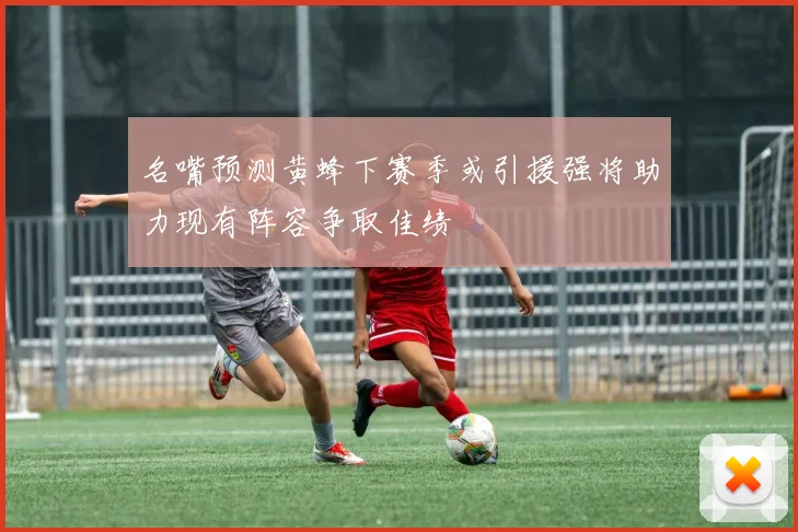 名嘴预测黄蜂下赛季或引援强将助力现有阵容争取佳绩