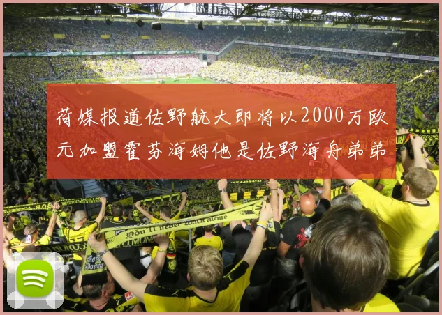 荷媒报道佐野航大即将以2000万欧元加盟霍芬海姆他是佐野海舟弟弟